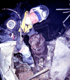 Köpek Moxie’nin morali düzelsin diye İtfaiyeciler, göçük altına saklanıp, Moxie’nin kendilerini bulmasını beklediler.