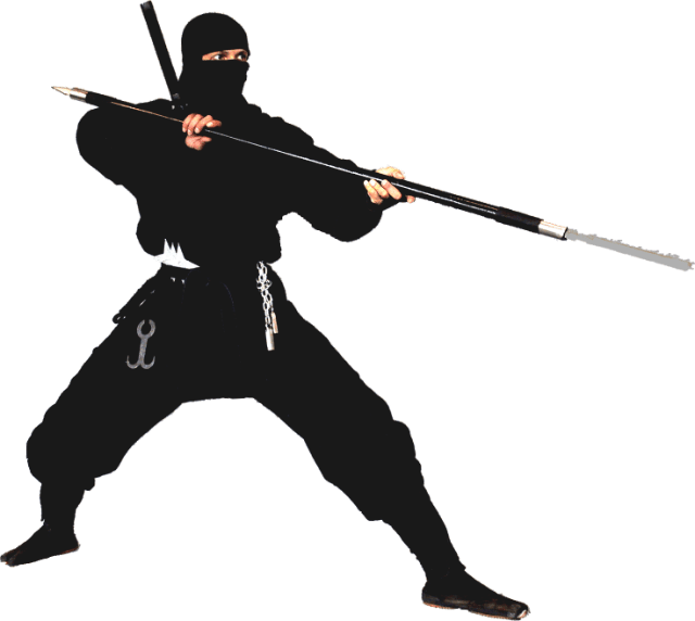 ninja-1-min.png