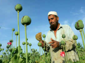 Dünyadaki eroin üretiminin %90’ından Afganistan sorumlu!