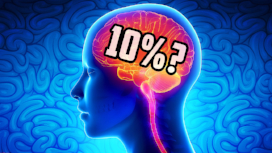 Beynimizin %10’unu kullandığımız gerçek mi yalan mı?