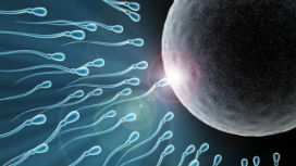 Yumurta ve sperm canlı birer hücre olmalarına rağmen dondurulabiliyor ve üstelik işlevlerini yitirmiyorlar! Bu nasıl mümkün oluyor?