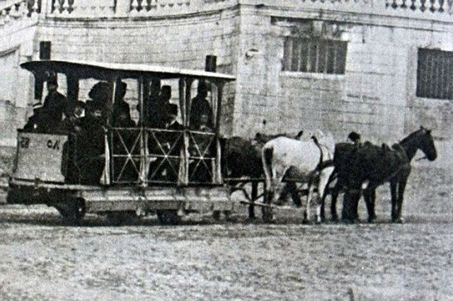 dingonun ahÄ±rÄ± ile ilgili gÃ¶rsel sonucu