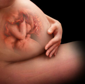 Hamilelik vücudu nasıl etkiler?