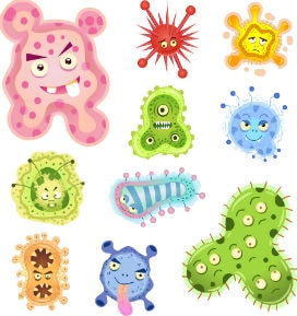 Bakteri ve Virüs Arasında Ne Fark Vardır?